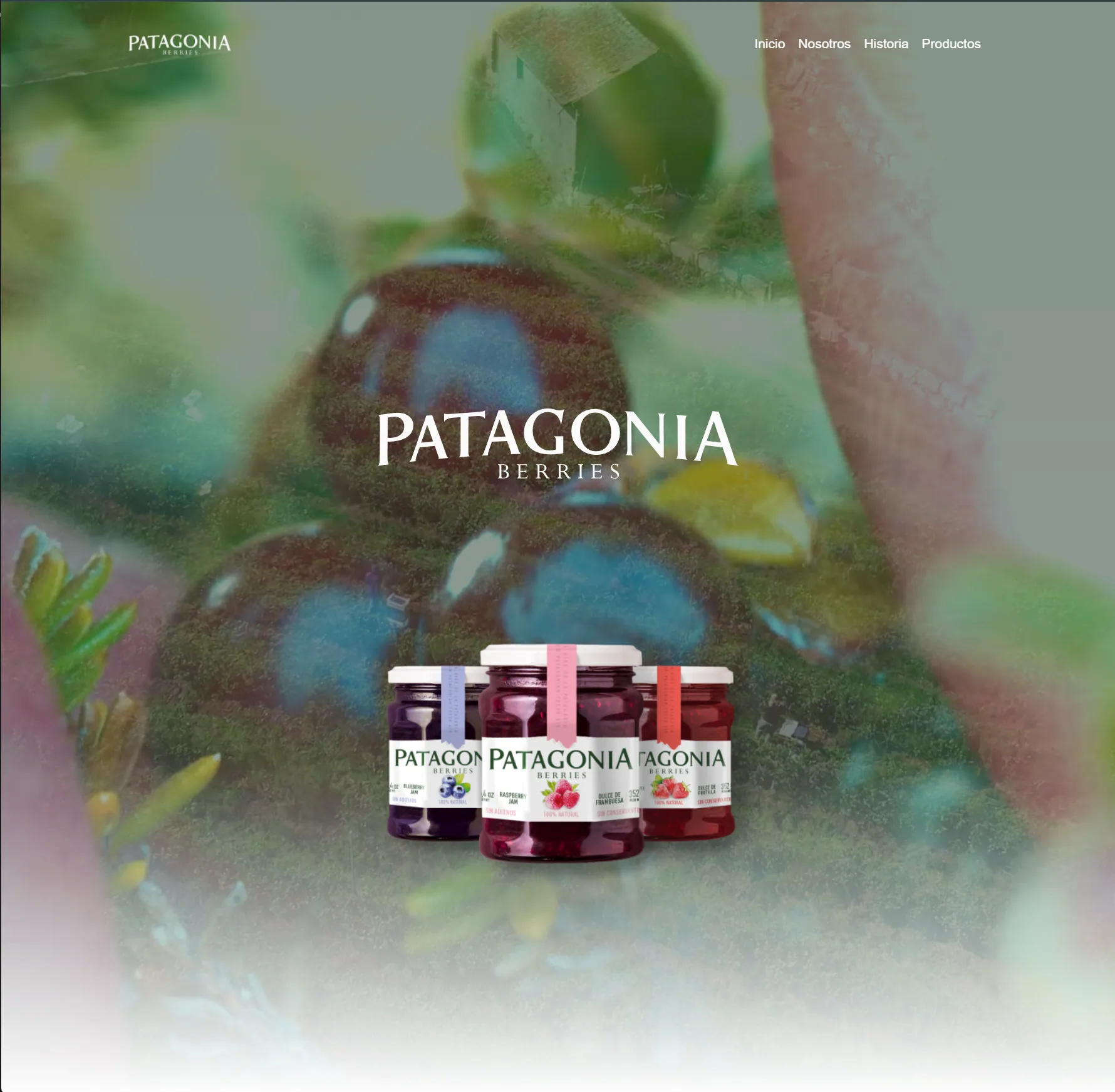 Patagonia Berries — Authentic Digital Presence