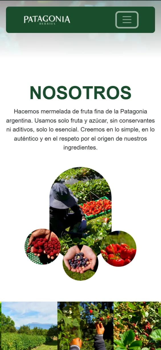 Patagonia Berries — Authentic Digital Presence — 2