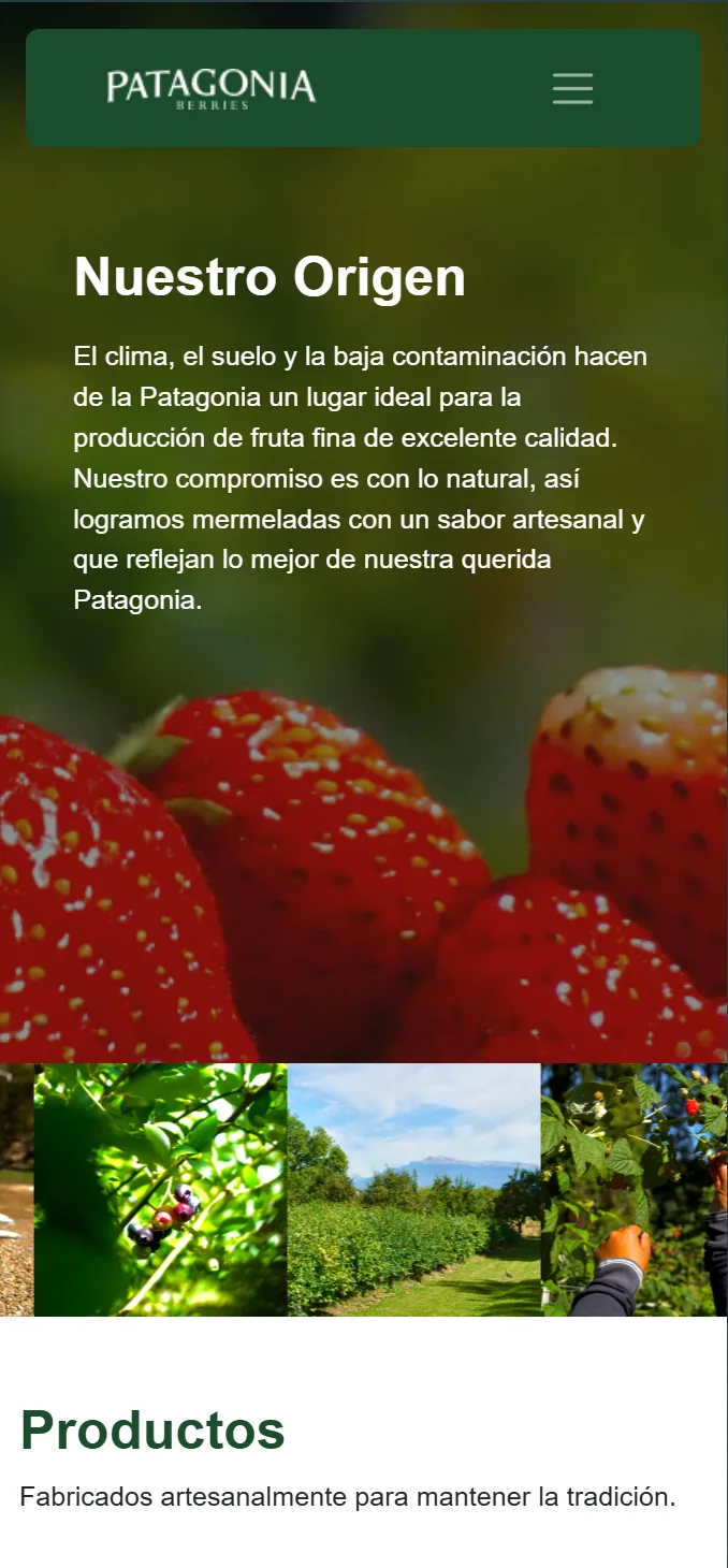 Patagonia Berries — Authentic Digital Presence — 3
