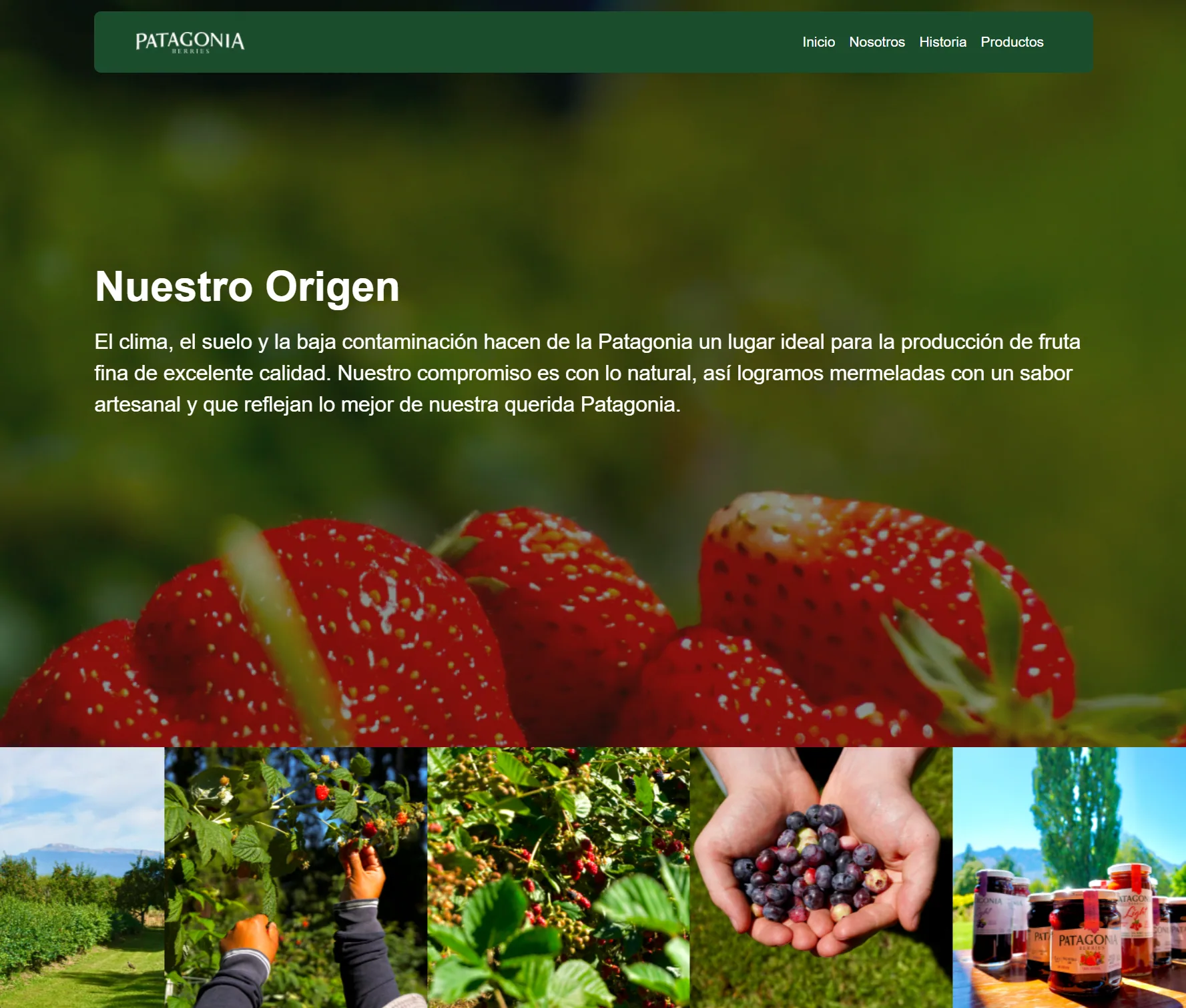 Patagonia Berries — Authentic Digital Presence — 4