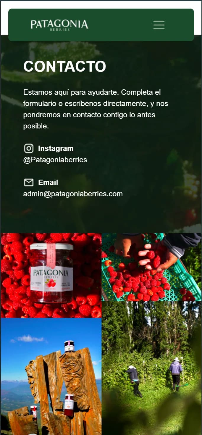 Patagonia Berries — Authentic Digital Presence — 5