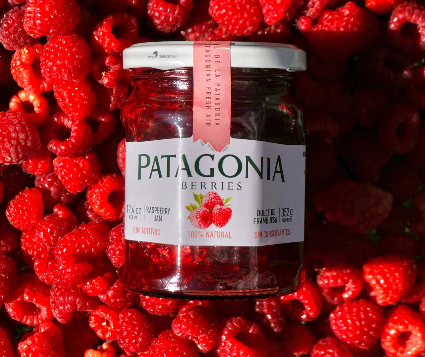 Patagonia Berries — Authentic Digital Presence — 8
